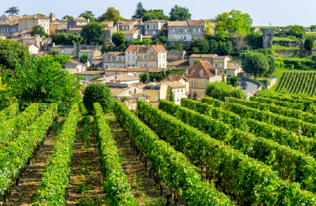 国際食文化研修